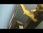 Pizza man eats toppings off one of his deliveries